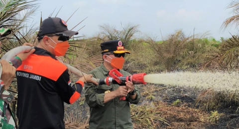 Kebakaran Lahan Gambut Hantam Desa Persiapan Air Merah, Gubernur Jambi Ikut Padamkan Api